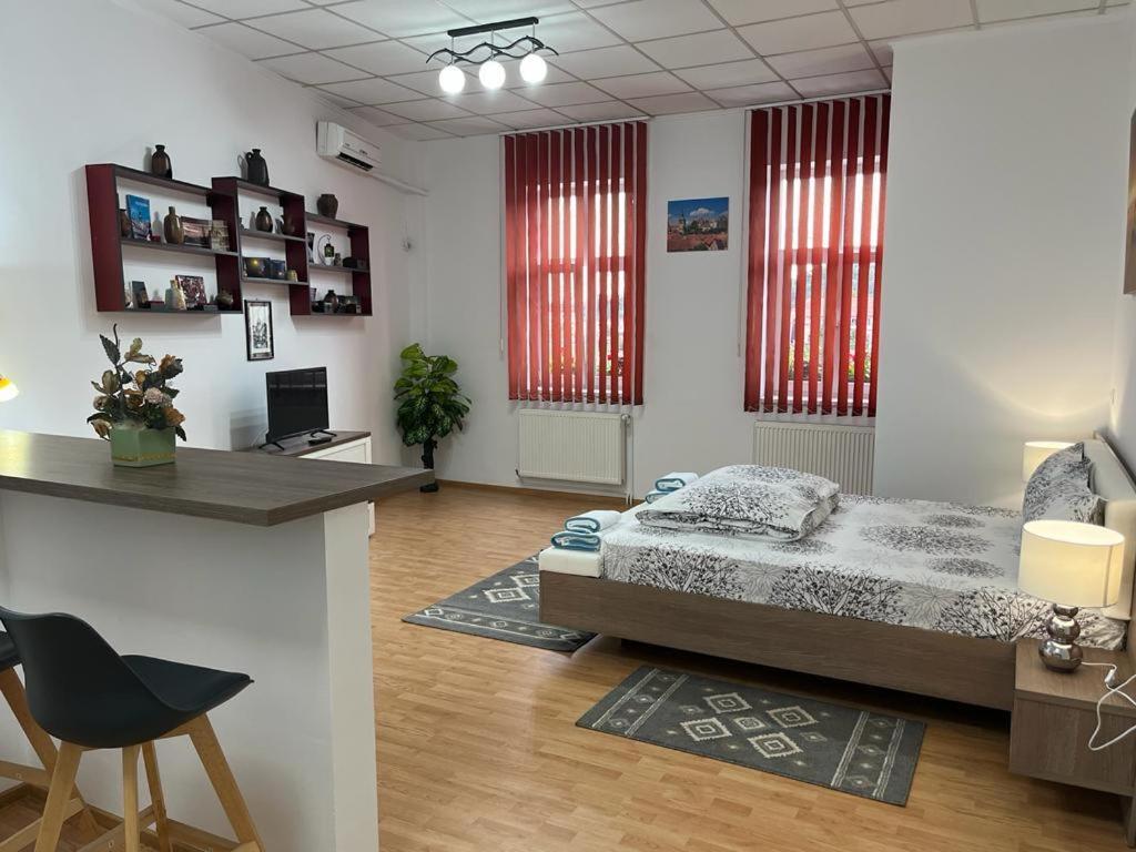 Panorama Studio Sighisoara Luaran gambar
